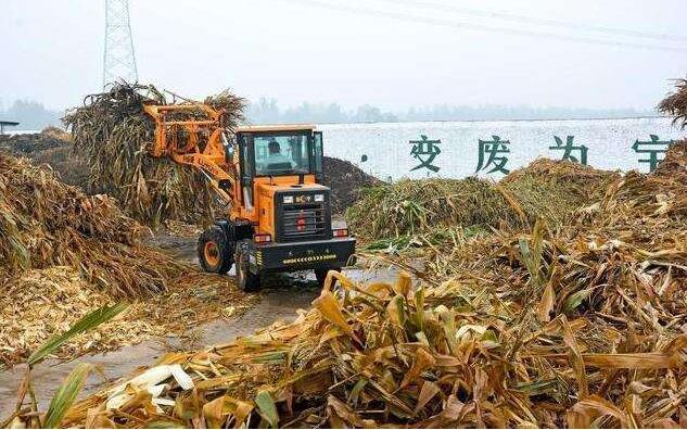 黑龍江秸稈顆粒機(jī)原料.jpg