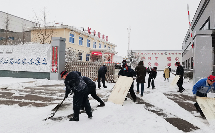 山東金格瑞的同事們第一時(shí)間積極自發(fā)的參與到掃雪行動(dòng)中.jpg